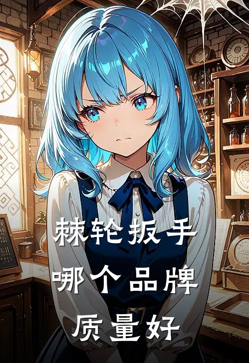 棘轮扳手哪个品牌质量好