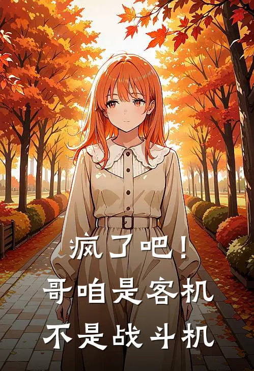 疯了吧！哥咱是客机，不是战斗机(叶枫陈明)小说推荐完本_全本免费小说疯了吧！哥咱是客机，不是战斗机叶枫陈明