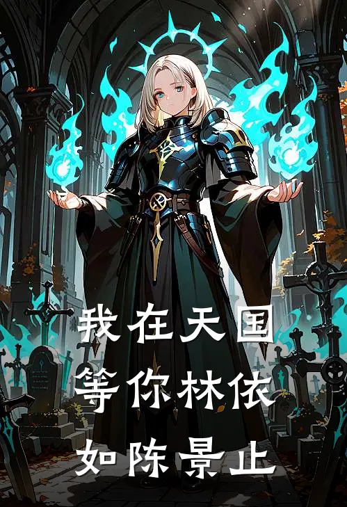 我在天国等你林依如陈景止